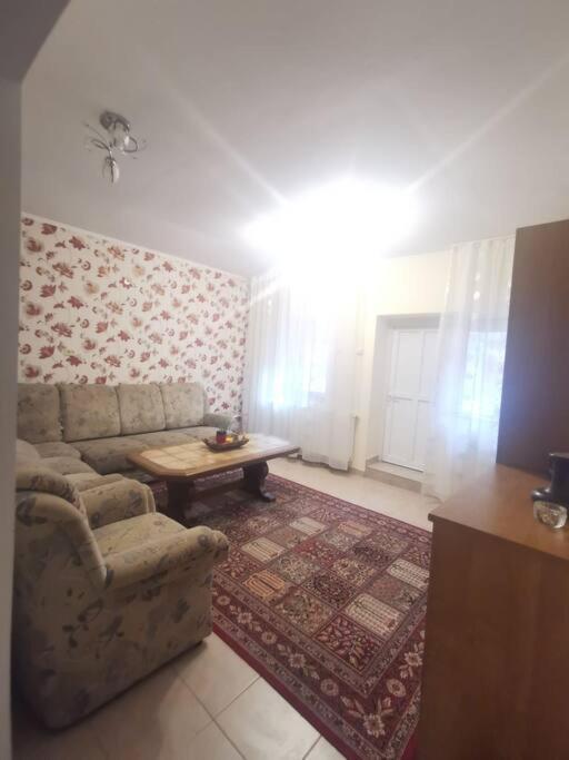 Apartamento Tth Apartament Timisoara Exterior foto